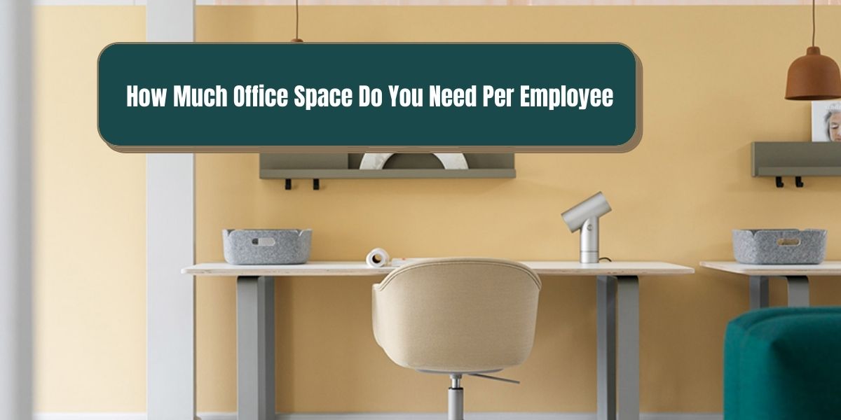 How Much Office Space Do You Need Per Employee